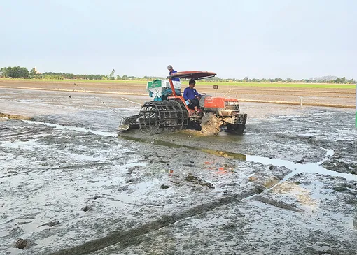 Tăng cường ứng dụng khoa học công nghệ, chuyển đổi số trong nông nghiệp
