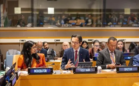 Tọa đàm kỷ niệm Ngày Vesak LHQ 2026: Phát huy giá trị Phật giáo vì hòa bình và hợp tác toàn cầu
