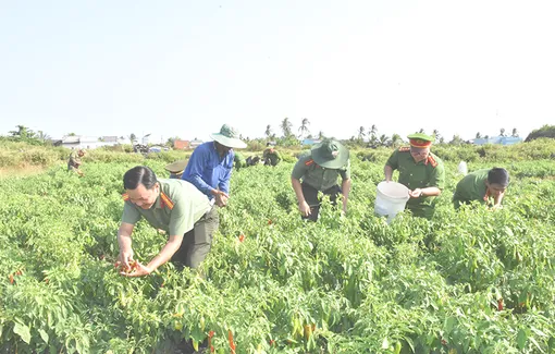 Giúp dân thu hoạch hoa màu - hành động thiết thực trong thi đua “Ba nhất”