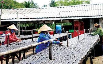 Khơi thông điểm nghẽn, liên kết để bứt phá<br>
Bài 1: “Mắt xích vàng” của vùng châu thổ Cửu Long