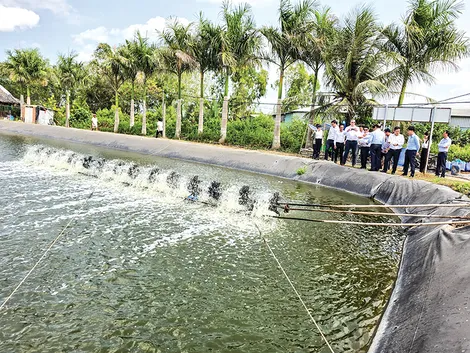 Tiềm năng phát triển nuôi thủy sản