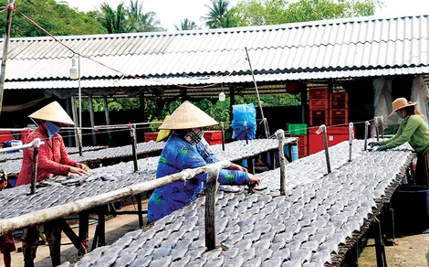 Khơi thông điểm nghẽn, liên kết để bứt phá<br>
Bài 1: “Mắt xích vàng” của vùng châu thổ Cửu Long