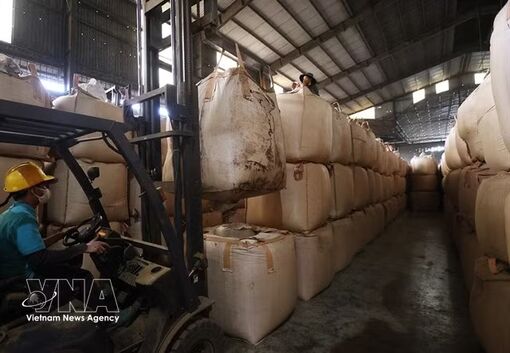 Vietnam's roasted coffee exports to Thailand rise as demand shifts to premium brews
