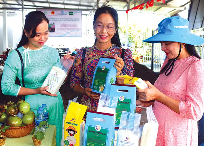 ViRiCert - Công cụ hỗ trợ nông dân sản xuất lúa đạt tiêu chuẩn để được chứng nhận “Gạo Việt xanh, phát thải thấp”