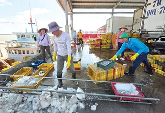 Phát triển công nghiệp chế biến thủy sản, nâng cao giá trị xuất khẩu