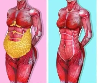Mỡ nội tạng làm tăng nguy cơ suy giảm trí nhớ