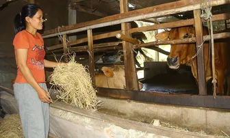 "យក​ខ្លីចិញ្ចឹមវែង" ដើម្បី​អភិវឌ្ឍសេដ្ឋកិច្ច​
