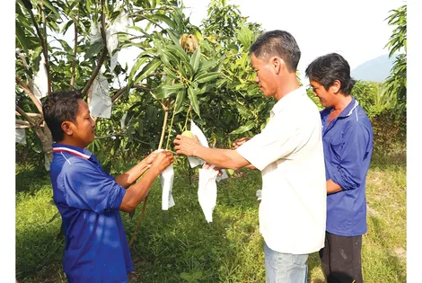 Khơi thông điểm nghẽn, liên kết để bứt phá
