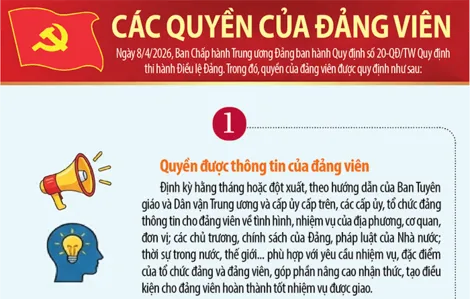 [Infographics] Các quyền của đảng viên