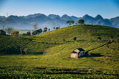 Phát triển du lịch trong kỷ nguyên mới: Những điểm nghẽn nào cần gỡ?