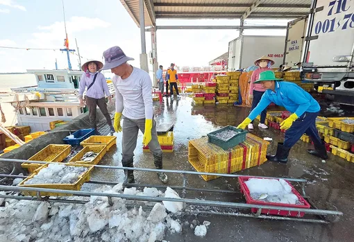 Phát triển công nghiệp chế biến thủy sản, nâng cao giá trị xuất khẩu