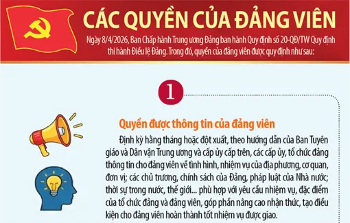 [Infographics] Các quyền của đảng viên