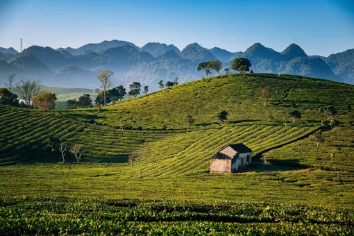 Phát triển du lịch trong kỷ nguyên mới: Những điểm nghẽn nào cần gỡ?