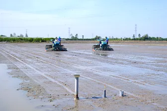 Kỳ vọng tiếp sức trí thức trẻ trong “hành trình ngược dòng”