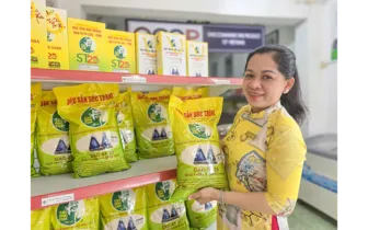 Thành lập Tổ công tác liên ngành về đấu tranh, ngăn chặn, xử lý hành vi xâm phạm quyền sở hữu trí tuệ