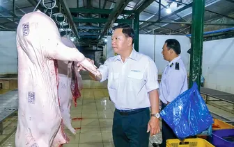 Tăng cường phòng, chống dịch bệnh trên đàn gia súc, gia cầm khi mùa mưa đến