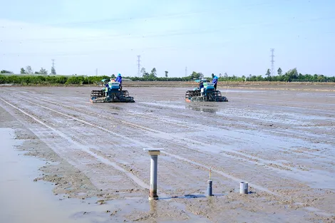 Kỳ vọng tiếp sức trí thức trẻ trong “hành trình ngược dòng”