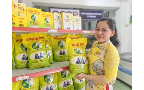 Thành lập Tổ công tác liên ngành về đấu tranh, ngăn chặn, xử lý hành vi xâm phạm quyền sở hữu trí tuệ