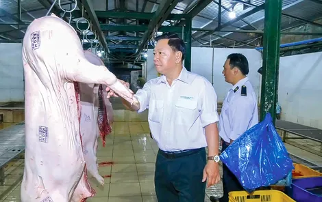 Tăng cường phòng, chống dịch bệnh trên đàn gia súc, gia cầm khi mùa mưa đến