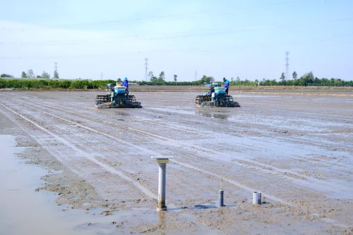 Kỳ vọng tiếp sức trí thức trẻ trong “hành trình ngược dòng”