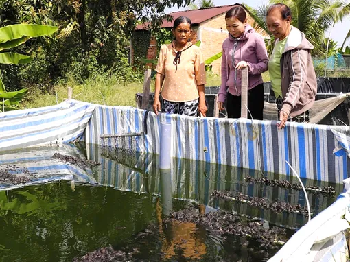 Phát huy vai trò các tổ chức chính trị - xã hội, đưa vốn chính sách đến người dân
