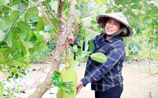 នារី​ធ្វើ​សេដ្ឋ​កិច្ច​ពូកែ ផ្ដើម​ពី​ទម្រង់​ផលិត​មាន​ប្រ​សិទ្ធ​ភាព