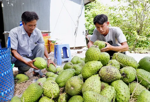 Hỗ trợ nông dân phát triển sản xuất