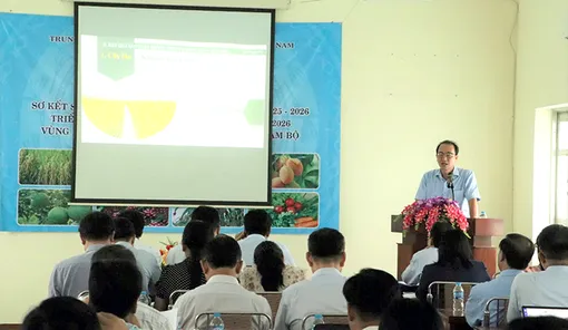 ĐBSCL và vùng Đông Nam Bộ chuyển đổi mạnh mẽ sản xuất nông nghiệp sang mô hình bền vững từ vụ đông xuân 2025-2026