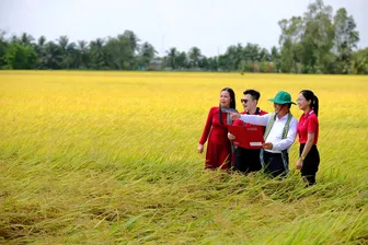 Agribank - Dòng vốn lan tỏa, kiến tạo phát triển bền vững tại ĐBSCL