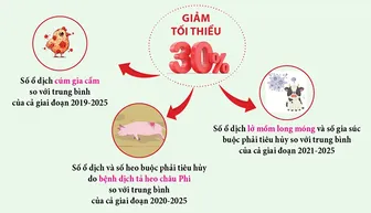 [INFOGRAPHICS] Kế hoạch quốc gia phòng, chống các bệnh cúm gia cầm, lở mồm long móng và dịch tả heo châu Phi giai đoạn 2026-2030