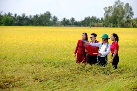 Agribank - Dòng vốn lan tỏa, kiến tạo phát triển bền vững tại ĐBSCL