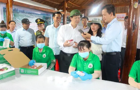 Bí thư Thành ủy Lê Quang Tùng khảo sát thực tế tại xã Cù Lao Dung