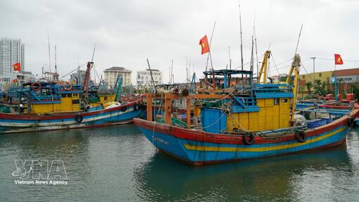 An Giang ramps up action to meet EC's anti-IUU fishing requirements