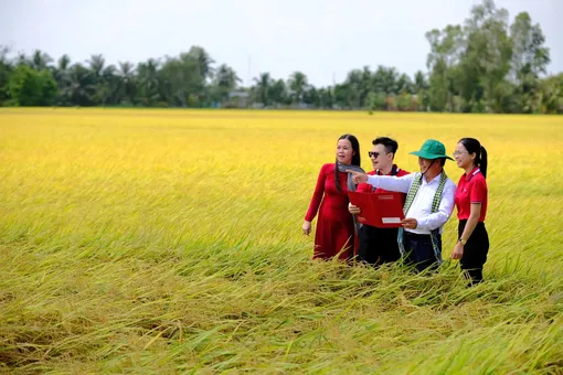 Agribank - Dòng vốn lan tỏa, kiến tạo phát triển bền vững tại ĐBSCL