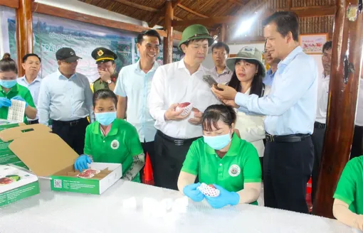 Bí thư Thành ủy Lê Quang Tùng khảo sát thực tế tại xã Cù Lao Dung