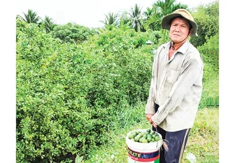 Dạo quanh thị trường ngày 8-5-2026