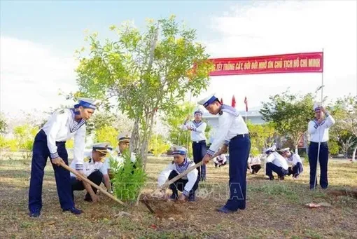 Bài 2: Những mầm xanh giữa trùng khơi