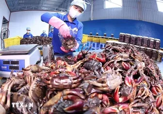Để thương hiệu Việt Nam tham gia sâu hơn vào thị trường khu vực và toàn cầu