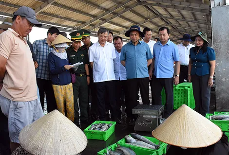 Đoàn công tác của Bộ Nông nghiệp và Môi trường khảo sát Cảng cá Trần Đề