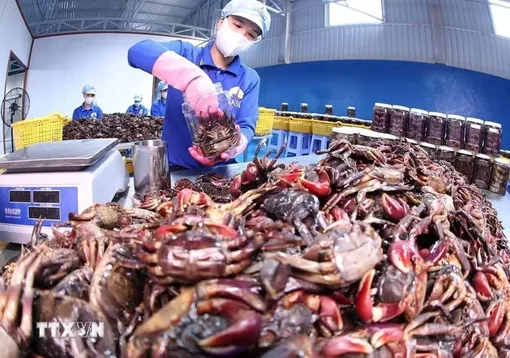 Để thương hiệu Việt Nam tham gia sâu hơn vào thị trường khu vực và toàn cầu