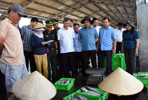 Đoàn công tác của Bộ Nông nghiệp và Môi trường khảo sát Cảng cá Trần Đề