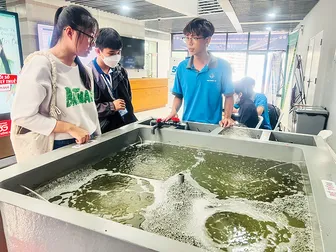 Động lực chính của mô hình tăng trưởng mới