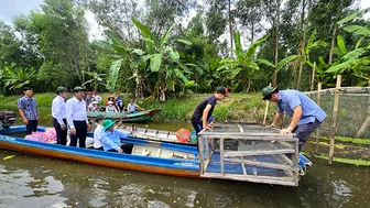 Tái hiện “hồn quê” tại sự kiện Hương rừng U Minh