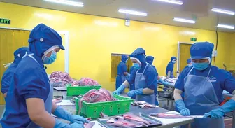 Giải pháp tháo gỡ khó khăn, thúc đẩy phát triển kinh tế - xã hội