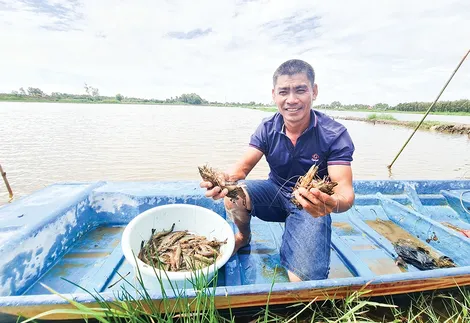 Nỗ lực thúc đẩy xuất khẩu nông, lâm, thủy sản