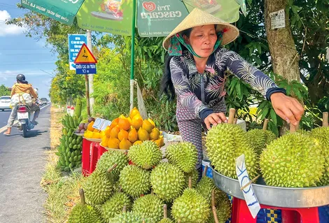 Ra ngõ gặp... sầu riêng !