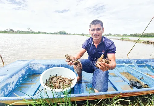 Nỗ lực thúc đẩy xuất khẩu nông, lâm, thủy sản