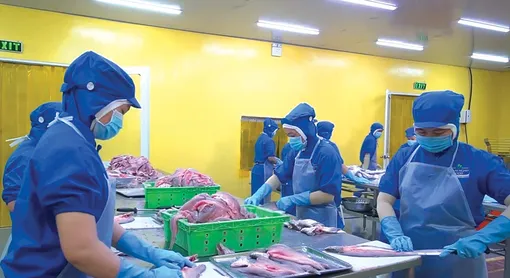 Giải pháp tháo gỡ khó khăn, thúc đẩy phát triển kinh tế - xã hội