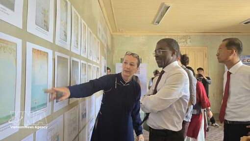 Honorary citizens leave imprint on Hue's heritage preservation, health advancement