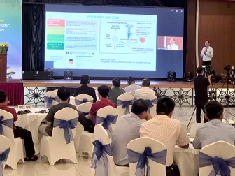 Kết nối chuỗi cung ứng phân bón trong canh tác lúa theo Đề án 1 triệu héc-ta lúa chất lượng cao và phát thải thấp